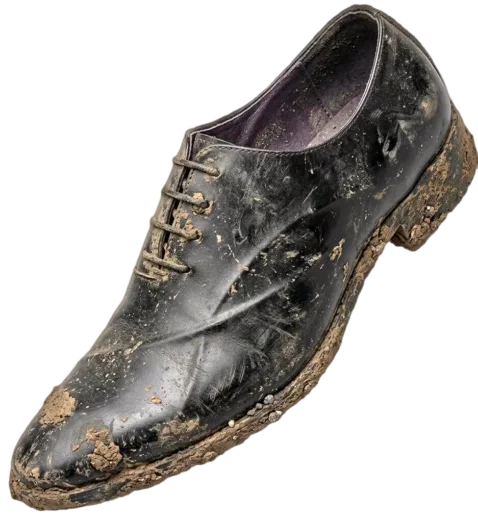 Leather & Formal Care - Shoe Care (Before)
